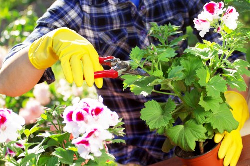 Gardener working in a Wandsworth garden entrance