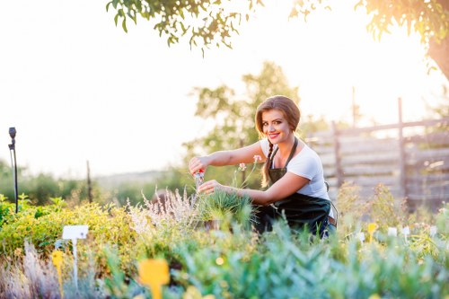 Professional lawn mowing service in Wandsworth