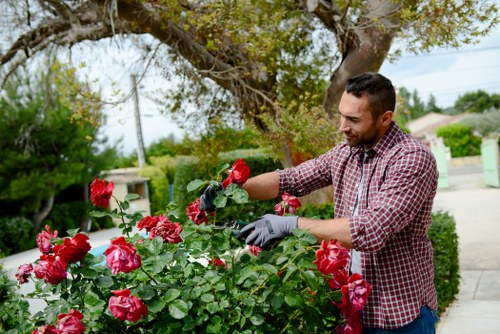 Training session demonstrating proper use of gardening equipment