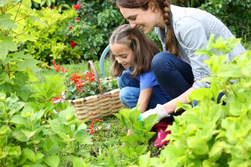 Choosing the right lawn care service