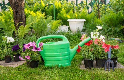 Essential lawn mowing tools and techniques
