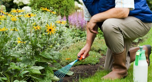 Expert landscapers maintaining a garden