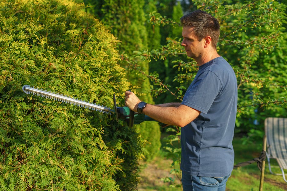 A man performing garden maintenance by trimming a dense, green hedge with a long-handled hedge trimmer in a well-maintained garden. The hedge's lush foliage varies in shades of green, with some branch